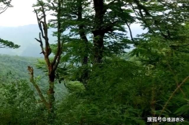 球球大作战下载最新版